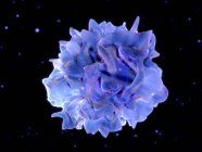 Cellule dendritiche del sistema immunitario — Foto stock