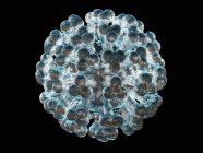 Rendu visuel des particules de virus — Photo de stock
