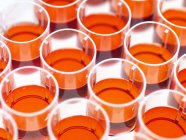 Close-up de líquido vermelho em bandeja de amostra multiwell . — Fotografia de Stock