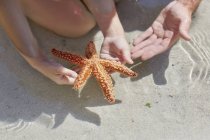Vista de perto da criança segurando estrela-do-mar na praia . — Fotografia de Stock
