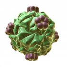 Ilustración de la cápside de un bacteriófago HK97 . - foto de stock