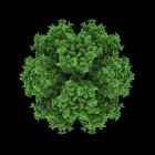 Vue de la particule d'adénovirus — Photo de stock