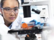 Female researcher using light microscope for examining stem cells in culture jar. — Stock Photo