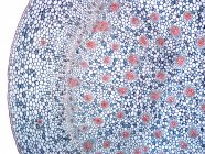 Ірис стовбурових клітинну будову — стокове фото