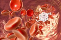 Red blood cells and white blood cells — Stock Photo