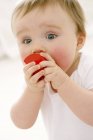 Portrait of baby boy chewing toy block. — Stock Photo