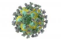 Enterovirus with attached integrin molecules — Stock Photo