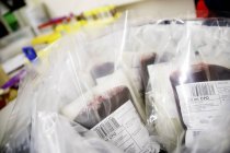 Bags of donated blood in laboratory. — Stock Photo