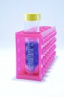 Tubo de muestra con líquido azul en estante rosa . - foto de stock