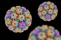 Вирус папилломы человека — стоковое фото