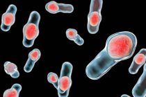 Bactéries Clostridium difficile — Photo de stock
