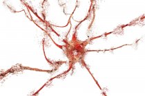 Apoptosis of neuron cell — Stock Photo