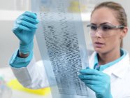 Female researcher studying DNA autoradiogram. — Stock Photo