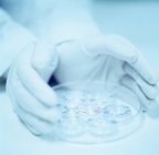 Wissenschaftler mit Handschuhen, die Mikro-Petrischalen halten. — Stockfoto
