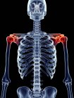 Zone d'inflammation de l'articulation de l'épaule — Photo de stock