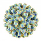 Kapsel des Hepatitis-B-Virus — Stockfoto