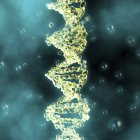 DNA molecule structure — Stock Photo