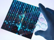 Hand holding multi well plate with samples with DNA results in background. — Stock Photo