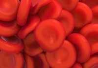 Gesunde rote Blutkörperchen — Stockfoto