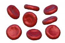 Здоровые красные клетки крови — стоковое фото
