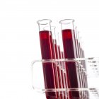 Muestras de sangre en tubos de ensayo sobre fondo blanco
. - foto de stock