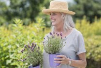 Mujer mayor sosteniendo plantas en maceta y sonriendo . - foto de stock