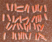 Batteri Pseudomonas aeruginosa — Foto stock