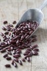 Red Kidney beans — Stock Photo