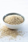 Quinoa-Samen in Schale auf weißem Hintergrund. — Stockfoto