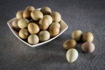 Pheasant eggs in bowl, still life. — Stock Photo