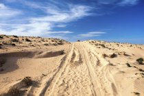Huellas de coche en arena del desierto . - foto de stock