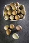 Close-up view of pheasant eggs, still life. — Stock Photo