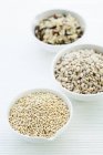 Bowls of quinoa, pearl barley and rice. — Stock Photo