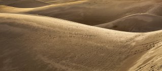 Dunas de arena en el desierto del Sahara . - foto de stock