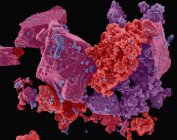 Micrografia eletrônica de varredura colorida (SEM) do limpador Ajax . — Fotografia de Stock