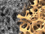 Knochenstruktur und Nanomaterial — Stockfoto