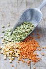 Ervilhas verdes, ervilhas amarelas e lentilhas vermelhas em colher de grãos de metal — Fotografia de Stock
