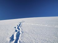 Tracce nella neve sul cielo blu senza nuvole
. — Foto stock