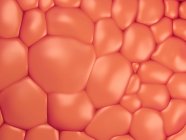 Cellules graisseuses, illustration conceptuelle par ordinateur . — Photo de stock
