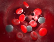 Glóbulos vermelhos na corrente sanguínea — Fotografia de Stock