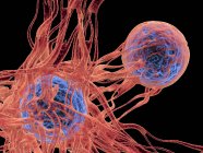 Células cancerosas y vasos sanguíneos - foto de stock