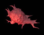 Cellule tumorali polmonari — Foto stock