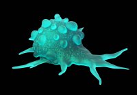Морфология раковых клеток — стоковое фото