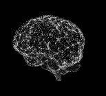Visualización visual del cerebro humano - foto de stock