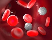 Красные клетки крови в крови — стоковое фото