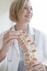 Female doctor holding anatomical model of human spine. — Stock Photo