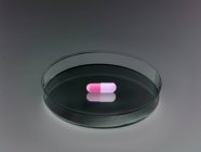 Pill in Petri dish on gray background. — Stock Photo