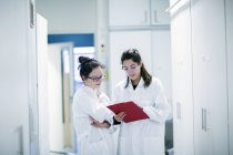 Жінки вчені працюють в лабораторії . — стокове фото