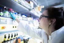 Женщины-учёные, работающие в лаборатории. — стоковое фото
