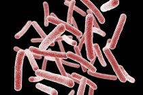 Бактерії мікобактерії хімари, комп'ютерна ілюстрація . — стокове фото